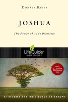 Cover image for Joshua, isbn: 9780830830244
