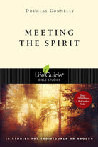 Cover image for Meeting the Spirit, isbn: 9780830830688