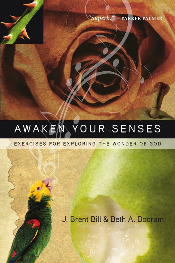 Cover image for Awaken Your Senses, isbn: 9780830835607