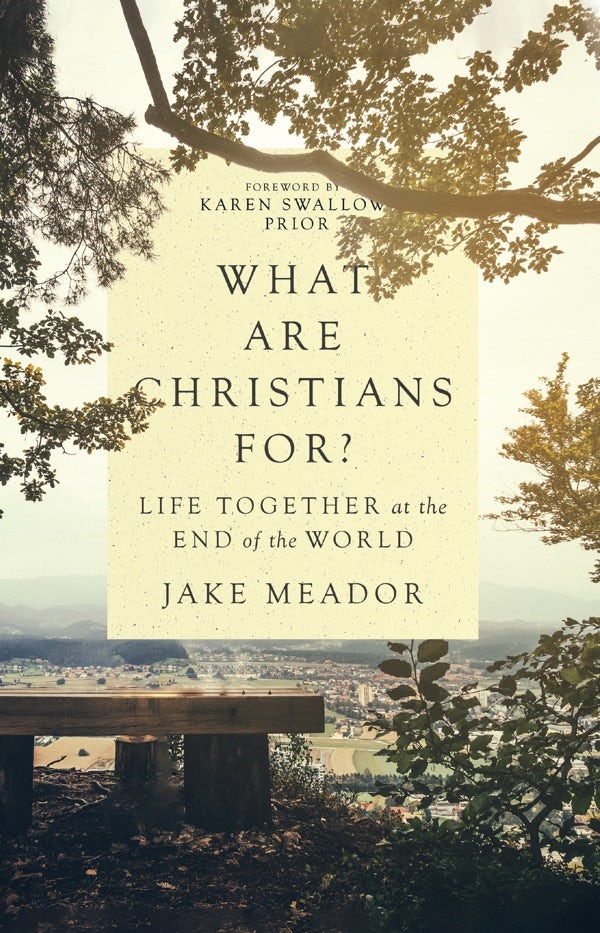 Cover image for What Are Christians For?, isbn: 9780830847365