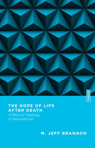 Cover image for The Hope of Life After Death, isbn: 9780830855315