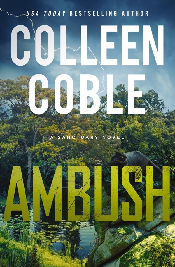 Cover image for Ambush, isbn: 9780840714220