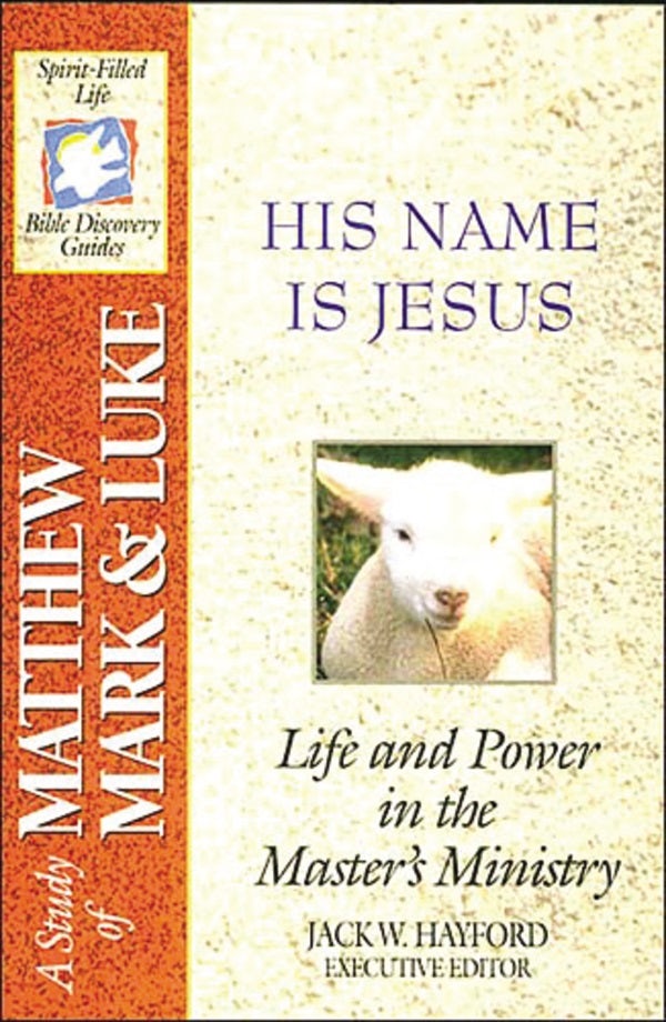Cover image for The Spirit-Filled Life Bible Discovery Series, isbn: 9780840720900