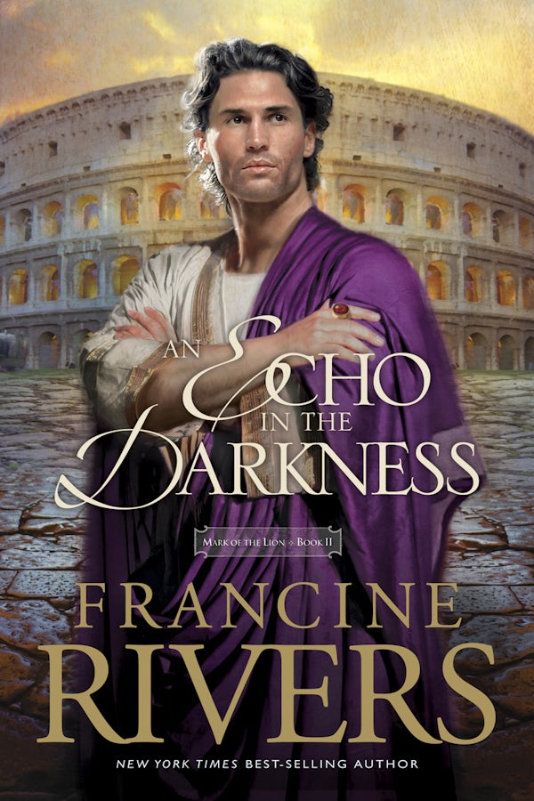 Cover image for Echo in the Darkness, isbn: 9780842313070