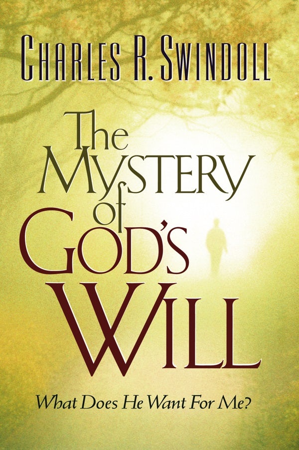 Cover image for The Mystery of God's Will, isbn: 9780849943263
