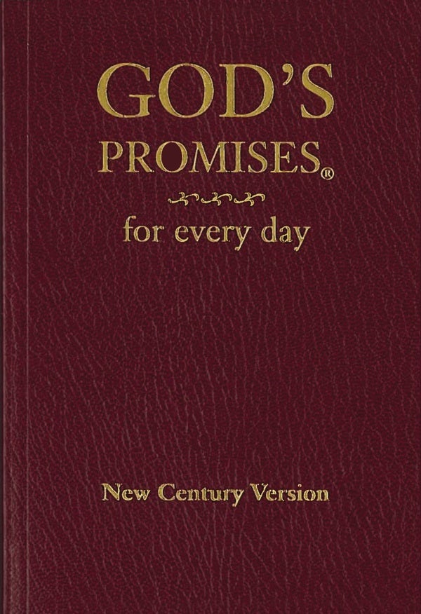 Cover image for God's Promises for Every Day, isbn: 9780849962684