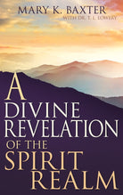 Cover image for A Divine Revelation of the Spirit Realm, isbn: 9780883686232