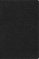 Cover image for Rvr 1960 Biblia de Estudio Arcoiris, Negro Símil Piel Con Índice, isbn: 9781087706030