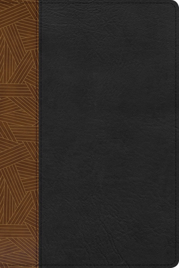 Cover image for Rvr 1960 Biblia de Estudio Arcoiris, Tostado/Negro Símil Piel Con Índice, isbn: 9781087706078