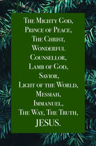 Cover image for Christmas Bulletin: Jesus (Package of 100), isbn: 9781087734798