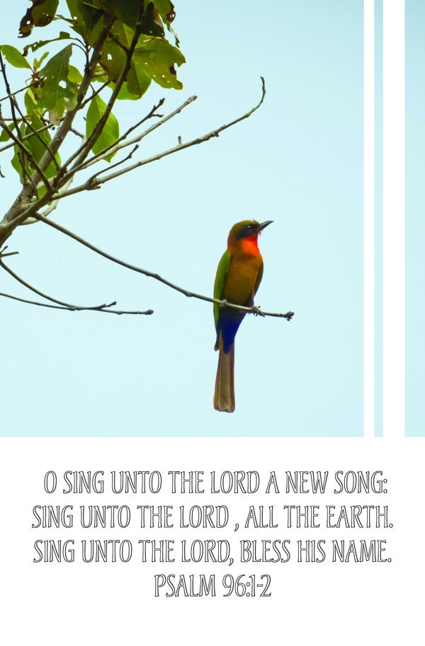 Cover image for General Worship Bulletin: Sing Unto the Lord (Package of 100), isbn: 9781087734927