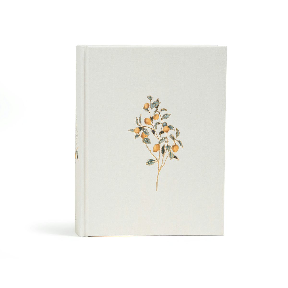 Cover image for CSB Notetaking Bible, Hosanna Revival Edition, Lemons, isbn: 9781087742403