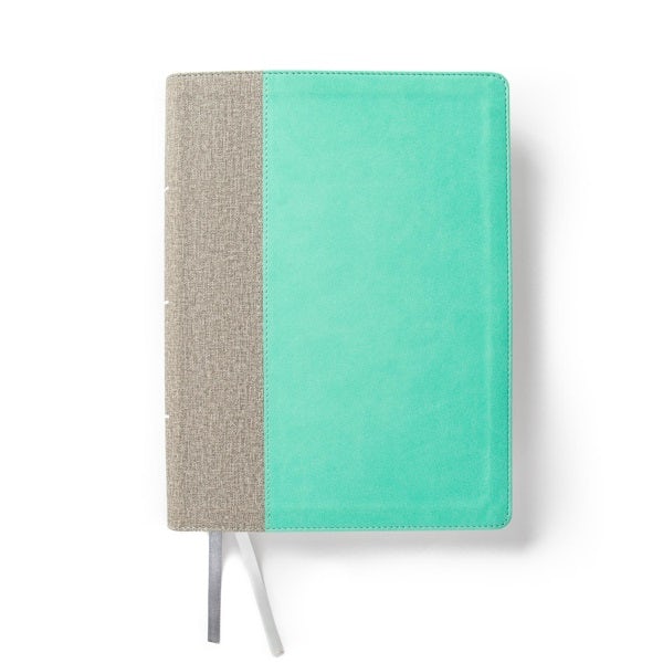 Cover image for CSB Lifeway Women's Bible, Gray/Mint Leathertouch, isbn: 9781087757537