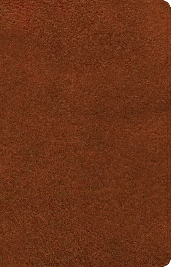 Cover image for NASB Large Print Personal Size Reference Bible, Burnt Sienna Leathertouch, Indexed, isbn: 9781087757650