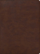 Cover image for CSB Apologetics Study Bible for Students, Brown Leathertouch, isbn: 9781087757964