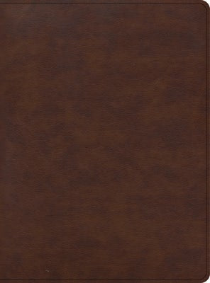 Cover image for CSB Apologetics Study Bible for Students, Brown Leathertouch, isbn: 9781087757964