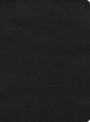 Cover image for CSB Apologetics Study Bible, Black Leathertouch, isbn: 9781087757988