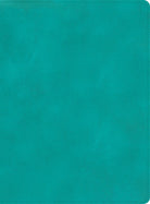 Cover image for CSB Apologetics Study Bible, Teal Leathertouch, isbn: 9781087757995
