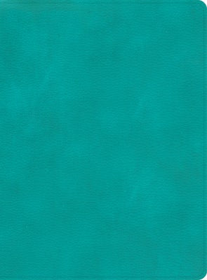 Cover image for CSB Apologetics Study Bible, Teal Leathertouch, isbn: 9781087757995