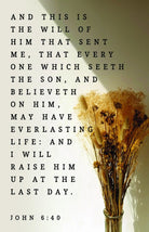 Cover image for Funeral Bulletin: Have Everlasting Life (Package of 100), isbn: 9781087765259