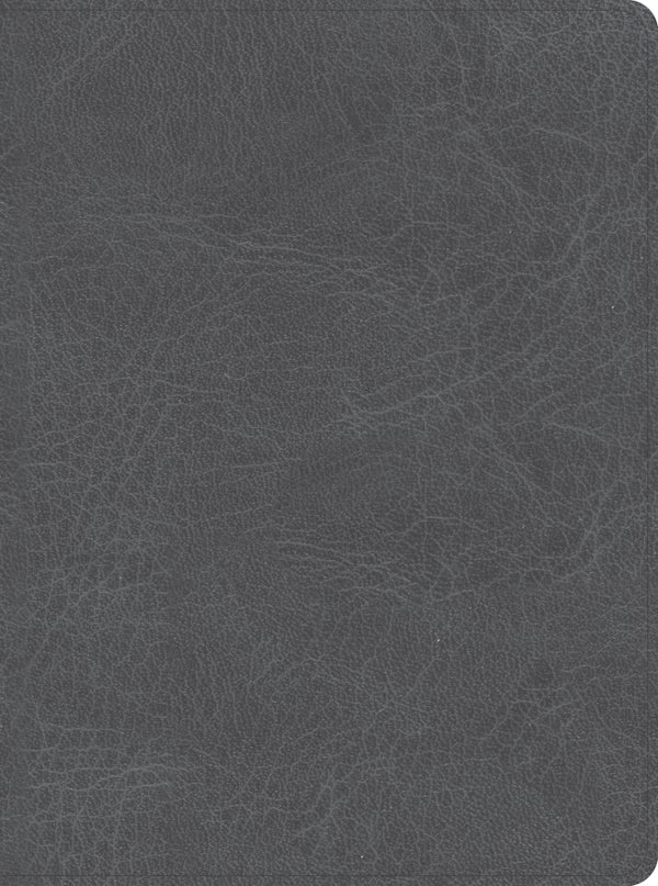 Cover image for CSB He Reads Truth Bible, Smoke Leathertouch, Indexed, isbn: 9781087766102
