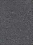 Cover image for CSB He Reads Truth Bible, Smoke Leathertouch, Indexed, isbn: 9781087766102