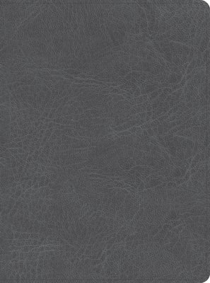 Cover image for CSB He Reads Truth Bible, Smoke Leathertouch, Indexed, isbn: 9781087766102