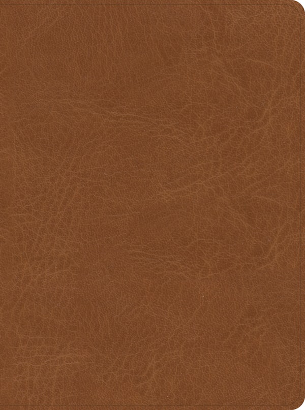 Cover image for CSB He Reads Truth Bible, Saddle Leathertouch, Indexed, isbn: 9781087766140