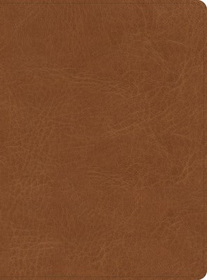 Cover image for CSB He Reads Truth Bible, Saddle Leathertouch, Indexed, isbn: 9781087766140