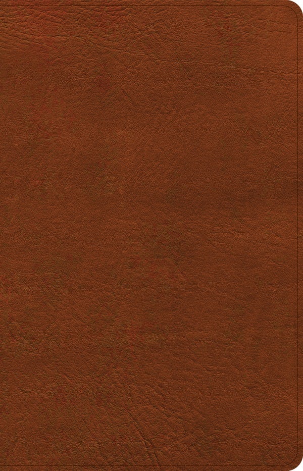 Cover image for CSB Thinline Bible, Burnt Sienna Leathertouch, isbn: 9781087767680
