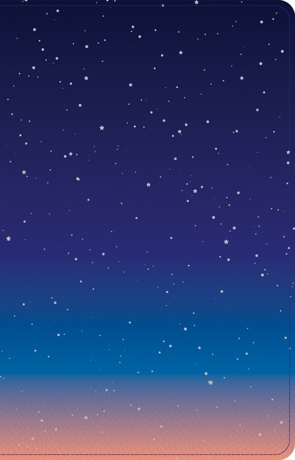 Cover image for CSB Kids Bible, Thinline Edition, Space Leathertouch, isbn: 9781087767857