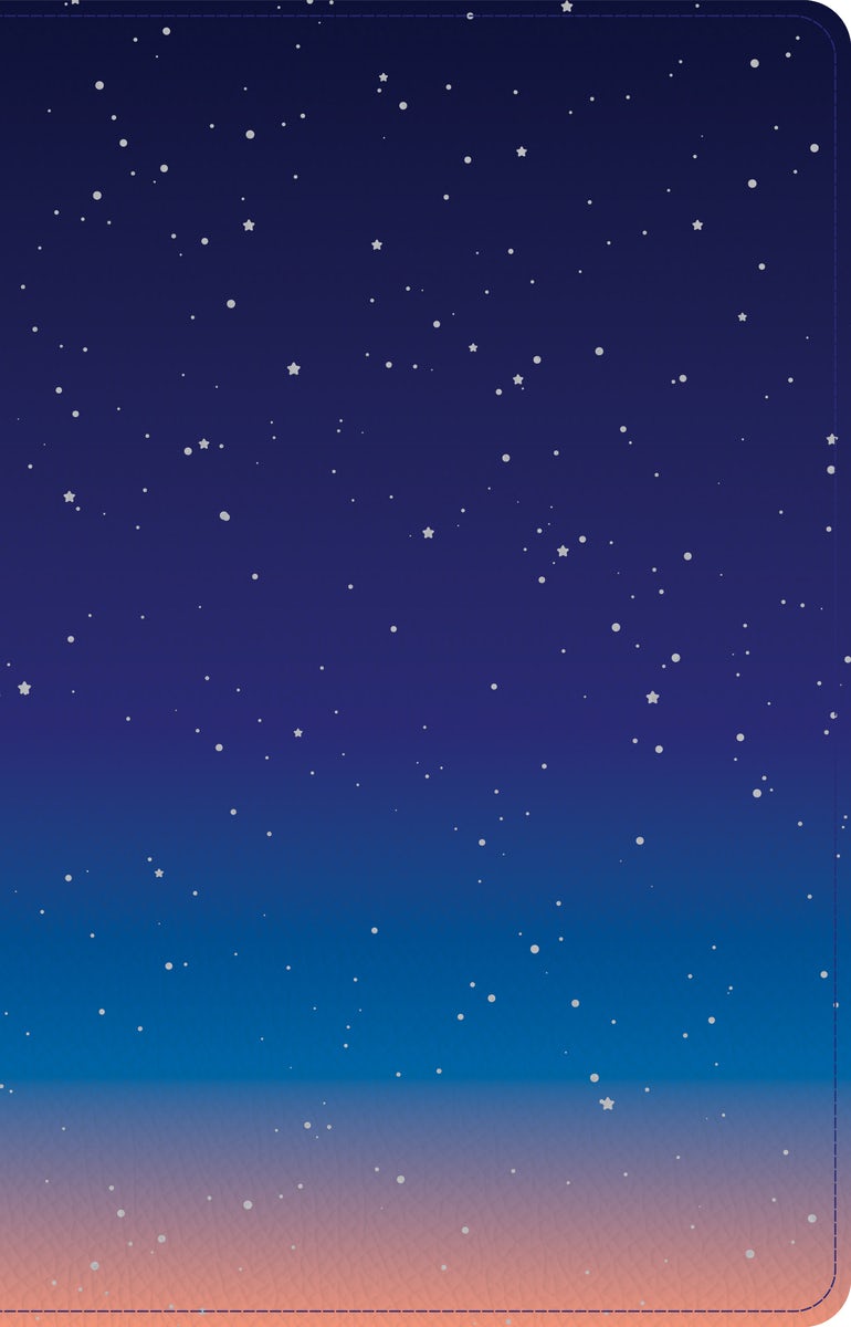 Cover image for CSB Kids Bible, Thinline Edition, Space Leathertouch, isbn: 9781087767857