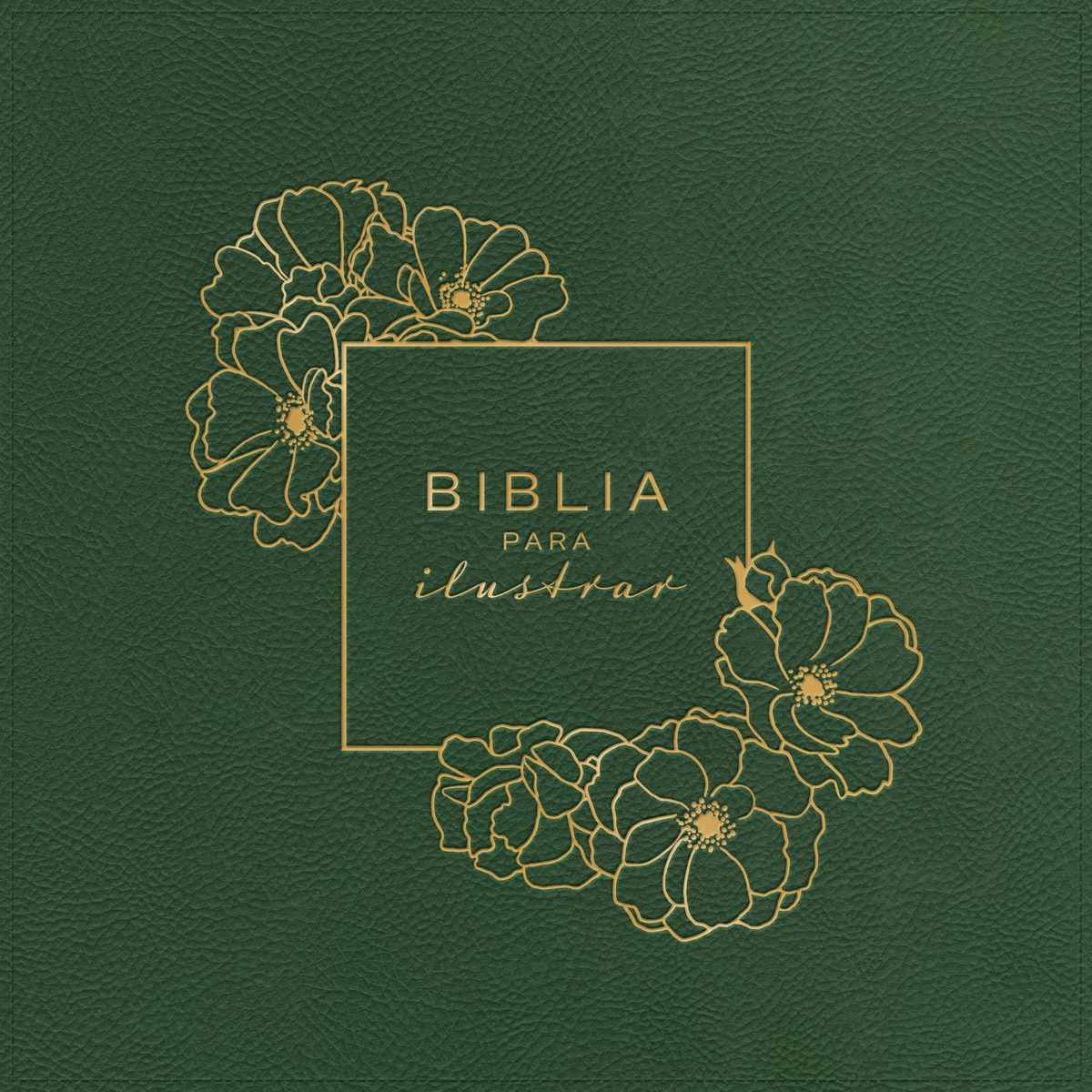 Cover image for Rvr 1960 Biblia Para Ilustrar, Verde Símil Piel, isbn: 9781087768564