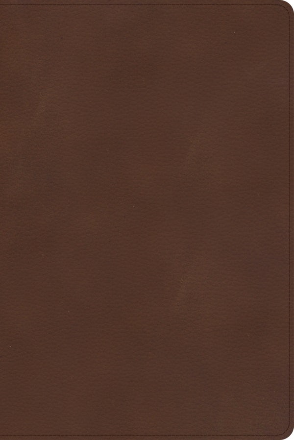 Cover image for CSB Rainbow Study Bible, Brown Leathertouch, isbn: 9781087774213