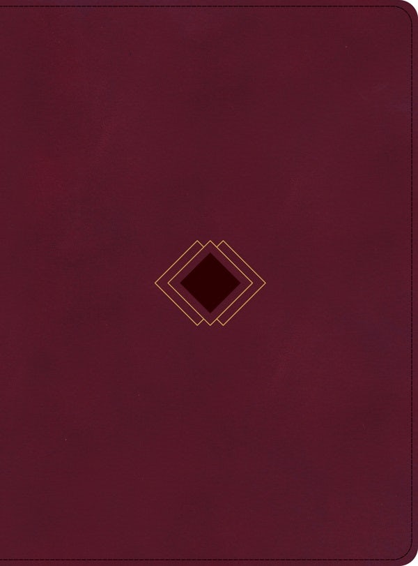 Cover image for CSB Day-By-Day Chronological Bible, Burgundy Leathertouch, isbn: 9781087774374