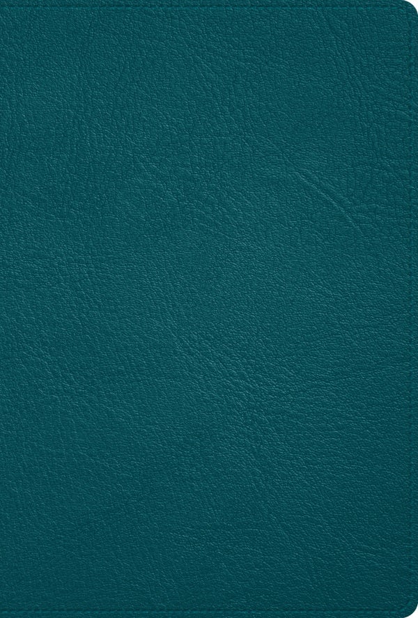 Cover image for Rvr 1960 Biblia Deluxe, Verde Turquesa Piel Genuina, isbn: 9781087774893