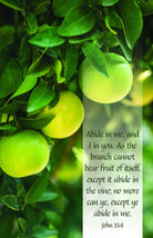 Cover image for General Worship Bulletin: Abide in Me (Package of 100), isbn: 9781087775616