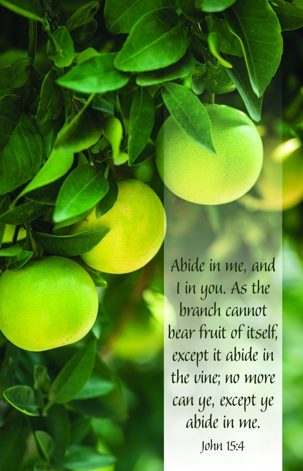 Cover image for General Worship Bulletin: Abide in Me (Package of 100), isbn: 9781087775616