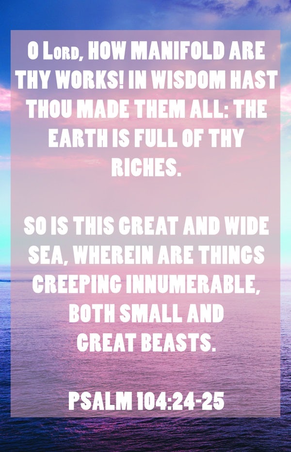 Cover image for General Worship Bulletin: Thy Works (Package of 100), isbn: 9781087775739