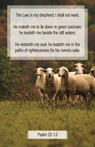 Cover image for General Worship Bulletin: My Shepherd (Package of 100), isbn: 9781087782133