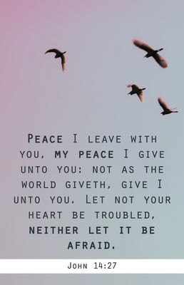 Cover image for Funeral Bulletin: My Peace (Package of 100), isbn: 9781087782379