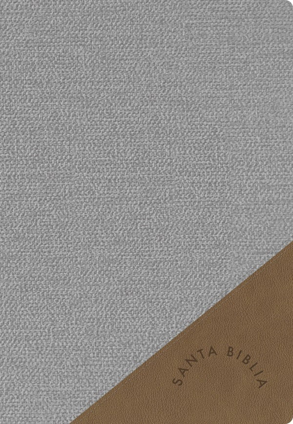 Cover image for Rvr 1960 Biblia Letra Supergigante, Gris Símil Piel Con Índice (Edición 2023), isbn: 9781087782454