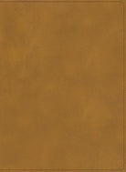 Cover image for Rvr 1960 Biblia Ilustrada de la Tierra Santa, Café Símil Piel Con Índice, isbn: 9781087788333