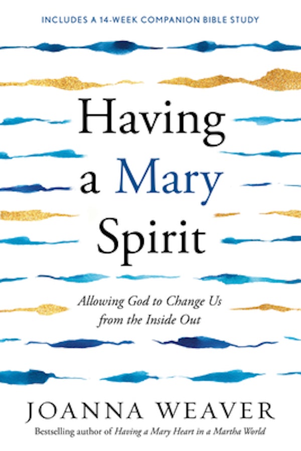 Cover image for Having a Mary Spirit, isbn: 9781400072477