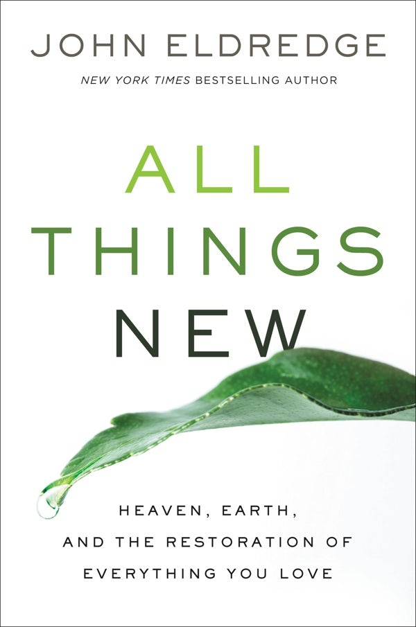 Cover image for All Things New, isbn: 9781400207527