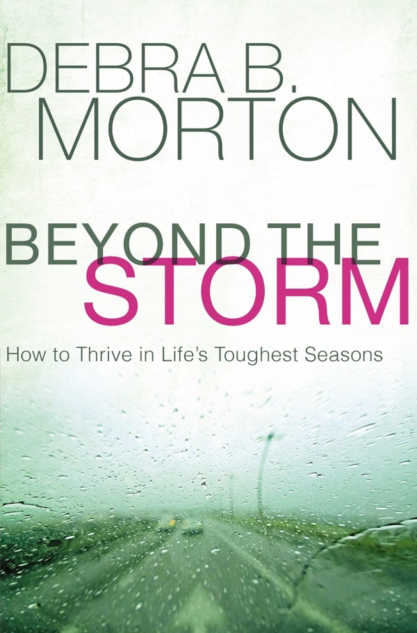 Cover image for Beyond the Storm, isbn: 9781400208333