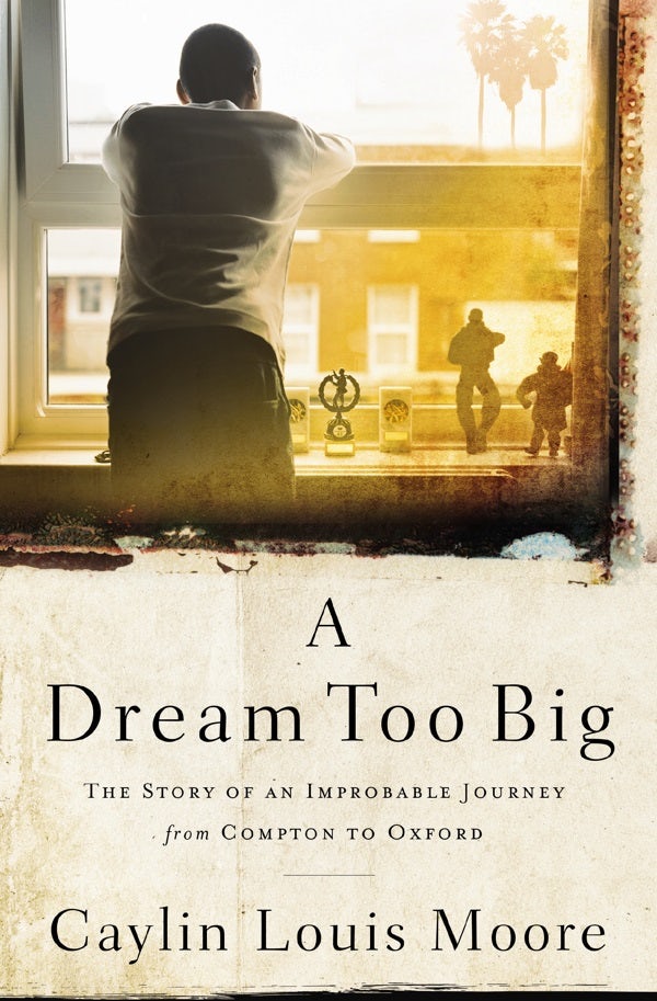 Cover image for A Dream Too Big, isbn: 9781400209941