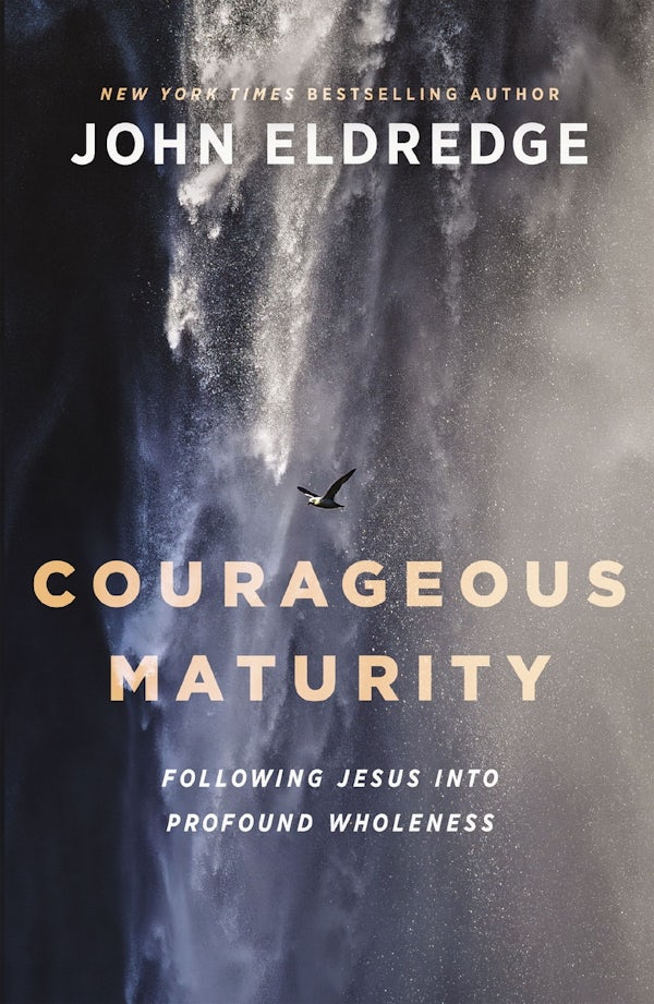 Cover image for Courageous Maturity, isbn: 9781400253630