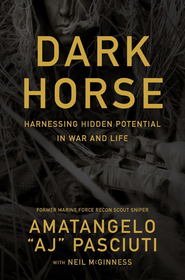 Cover image for Darkhorse, isbn: 9781400254972