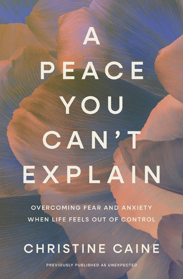 Cover image for A Peace You Can't Explain, isbn: 9781400258307